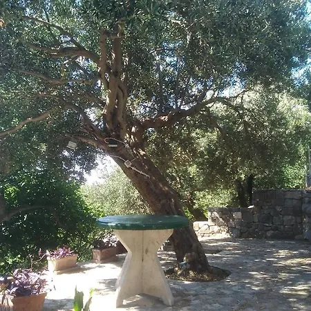 Apartment Floramye Baška Voda