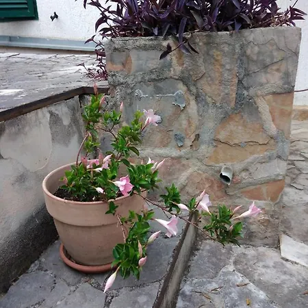 Apartment Apartment Floramye *